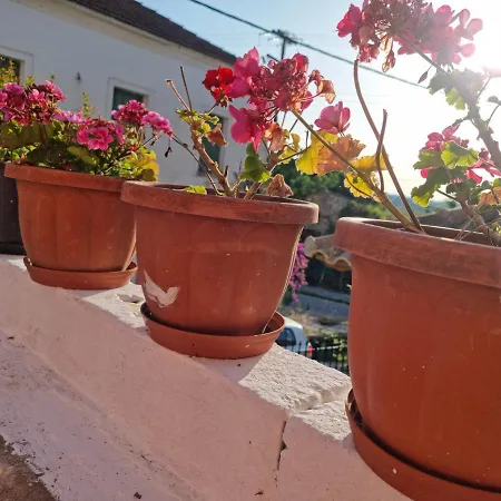 Holiday home Dimitras Cosy